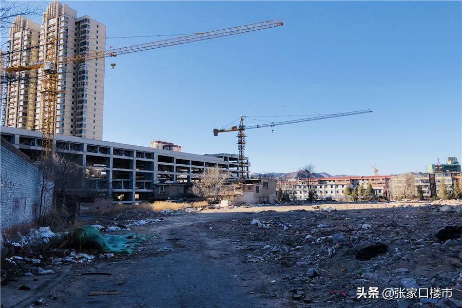 新学校勃勃生机,新学校新环境新起点