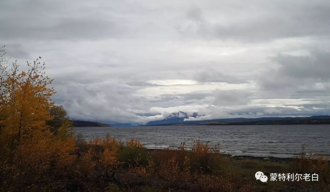 跟着老白行走加拿大，育空Watson Lake、BC省Northern Rockies