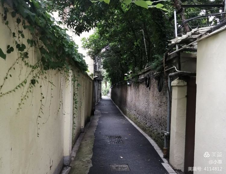 书法篆刻家张英群先生作品一览,书法家张建康作品