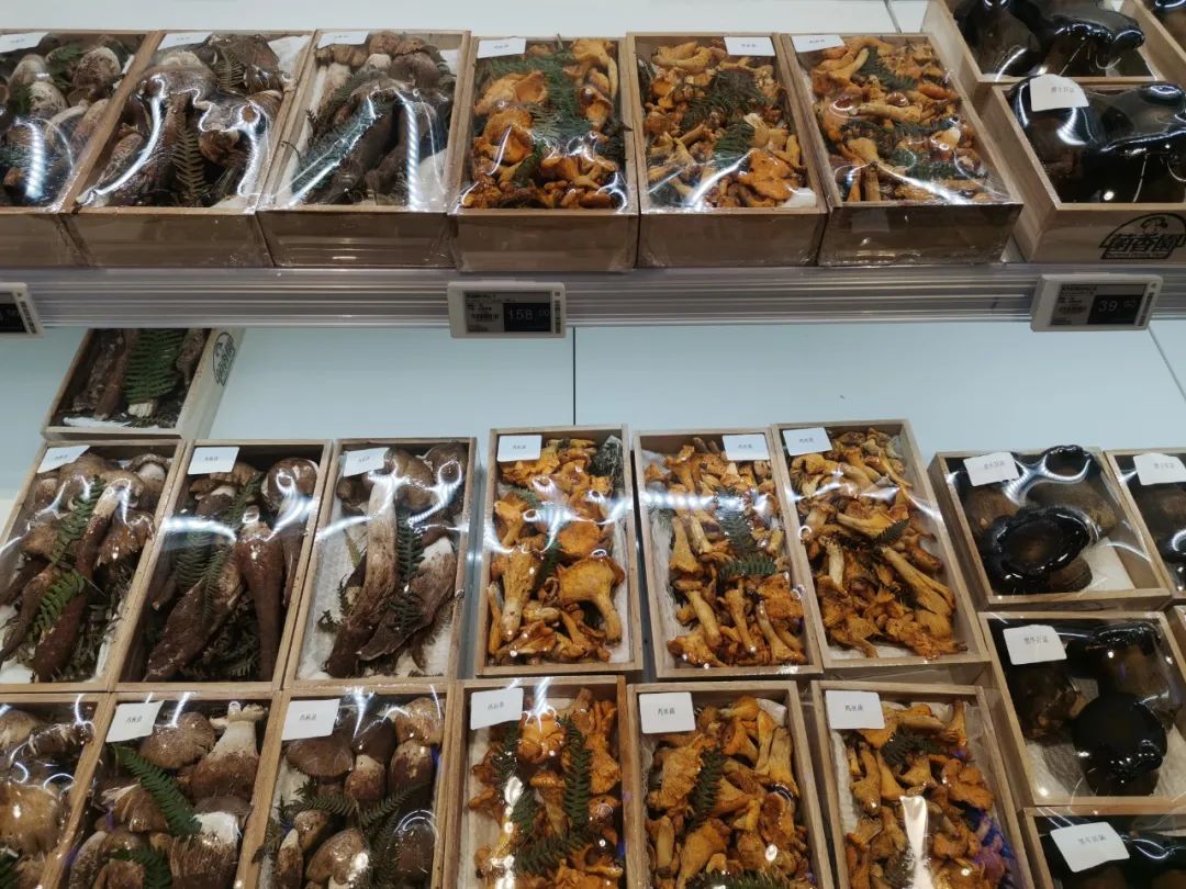 不靠会员费，另辟蹊径的麦德龙PLUS从哪挣钱？