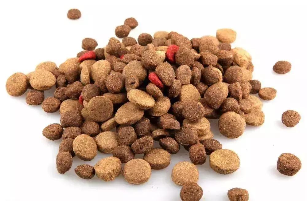 千亿宠物经济背后的真实故事,宠物市场的蓝海市场究竟有多宽阔