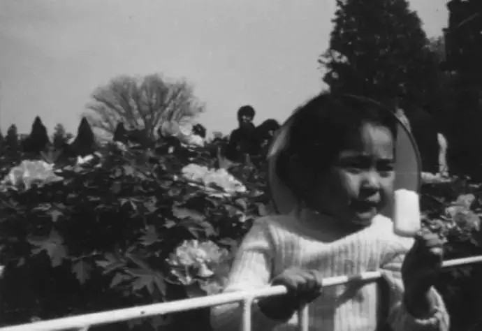 洛阳古城历史照片,历史的记忆完整视频