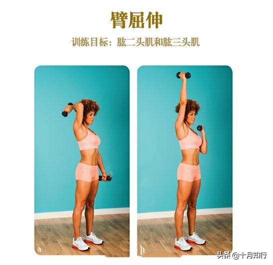 哑铃紧致训练动作图片,初学者哑铃经典8个动作女性