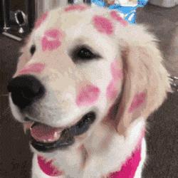 老婆牙疼的特效药,老婆牙疼痛的特效药