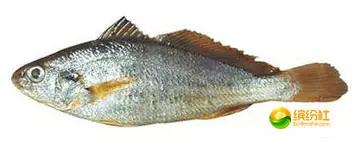 舟山海鲜攻略2天1晚住宿自由行,舟山最好的海鲜