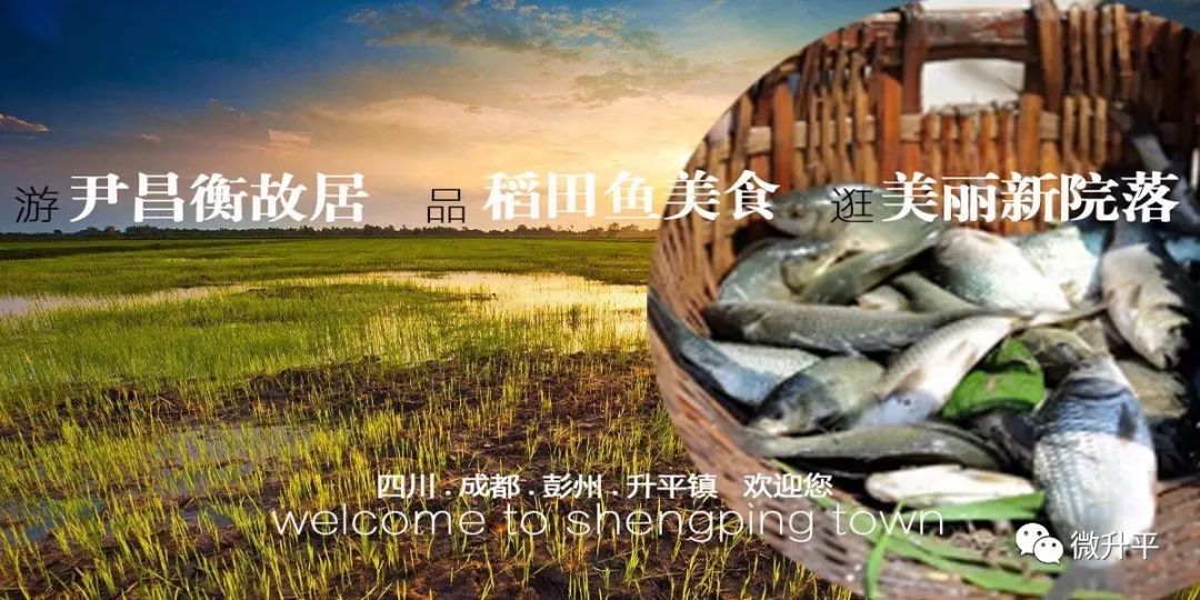 建在沙漠里的足球场,天然草坪足球场在哪里