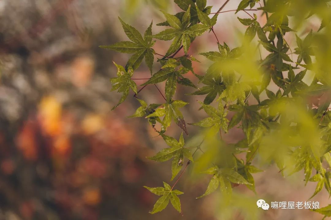 京都和大阪地理位置,京都奈良大阪位置