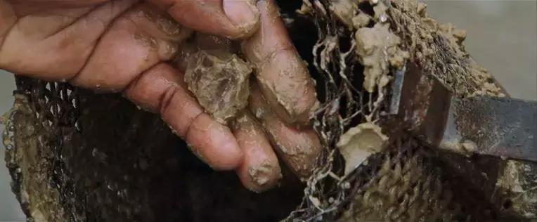 被奸杀、遭剁手，这里的人命一文不值