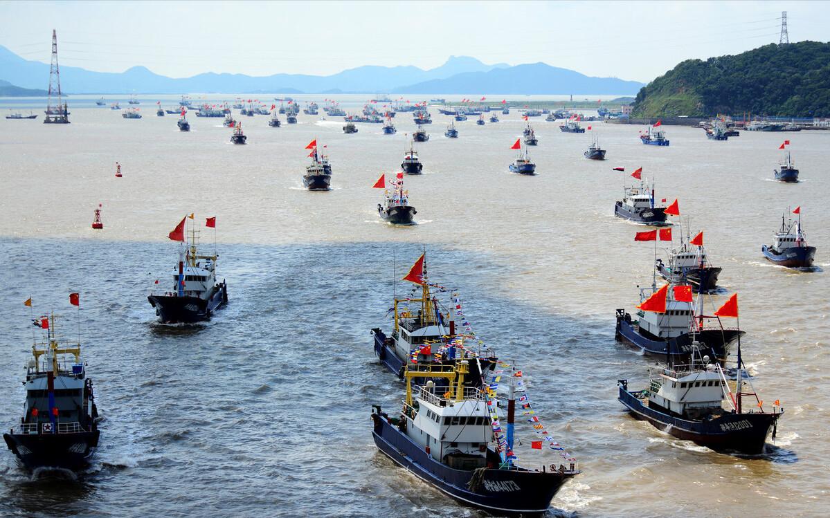 渔民捕到人工放流大黄鱼,渔民捕获1条4.8斤大黄鱼