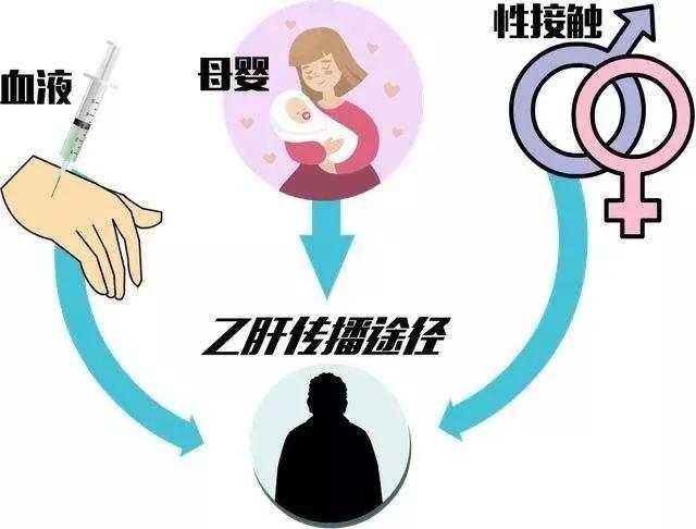 乙肝携带者喂孩子吃饭会传染吗,谣言和乙肝朋友吃饭被传染