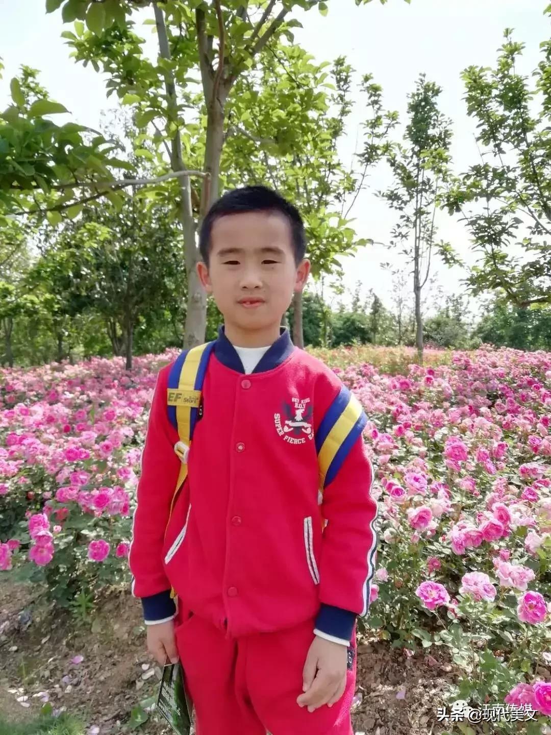 中国十大儿童诗作家,中国优秀的诗人100名