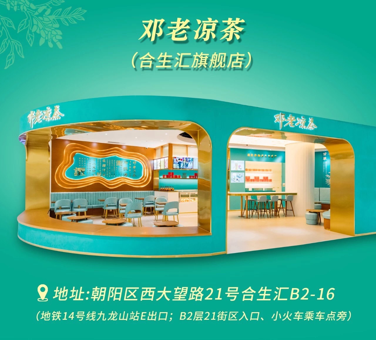 邓老凉茶过冬,邓老凉茶功效