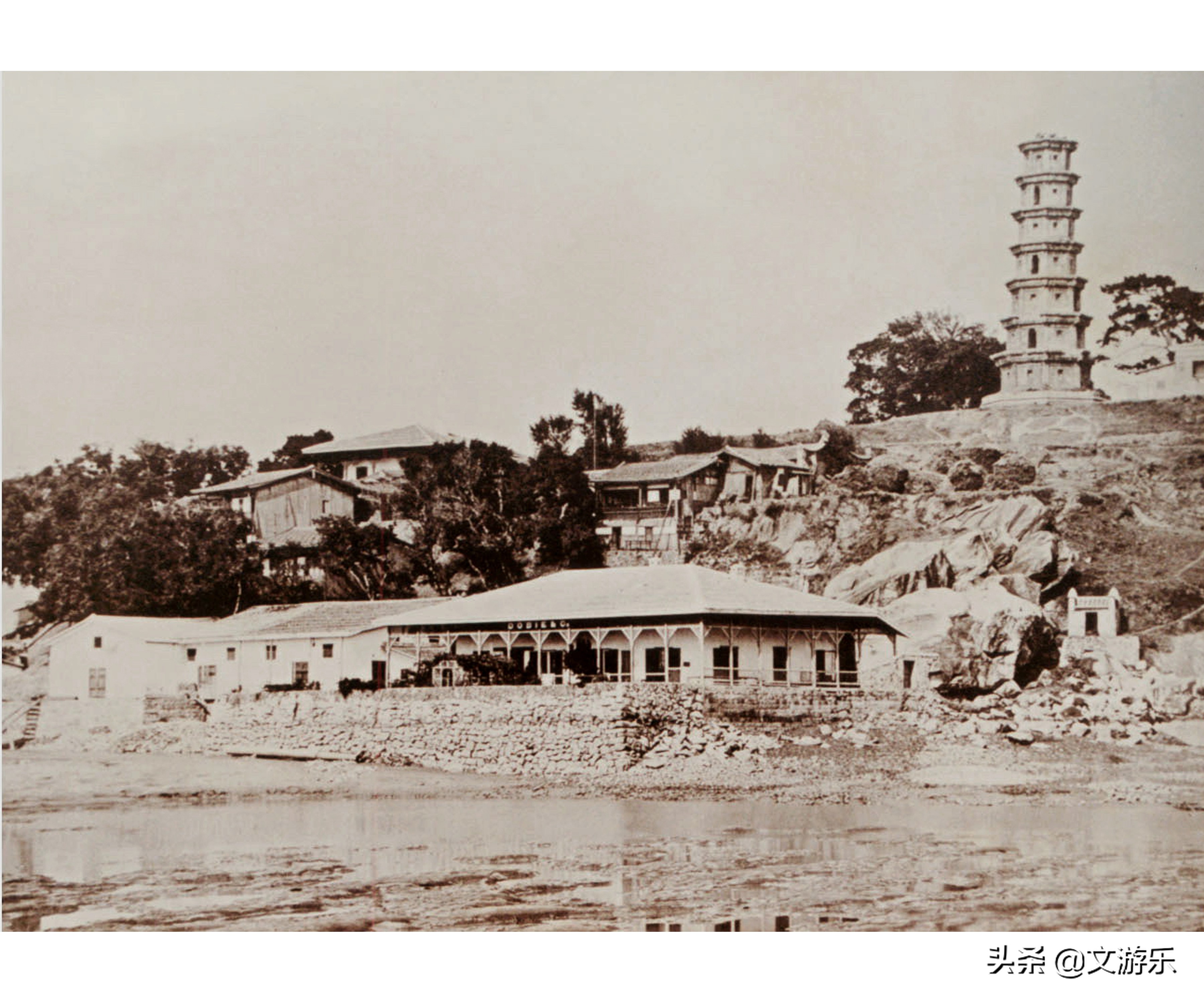 马尾有什么涵义,马尾是鬃毛吗