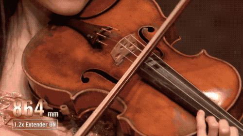 怎么知道网上的视频是不是专业摆拍?