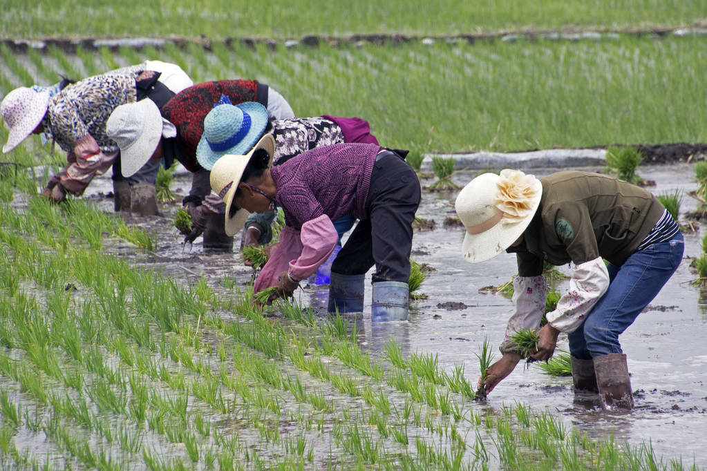 <html>
<head><title>502BadGateway</title></head>
<body>
<center><h1>502BadGateway</h1></center>
<hr><center>nginx</center>
</body>
</html>
<!--apaddingtodisableMSIEandChromefriendlyerrorpage-->
<!--apaddingtodisableMSIEandChromefriendlyerrorpage-->
<!--apaddingtodisableMSIEandChromefriendlyerrorpage-->
<!--apaddingtodisableMSIEandChromefriendlyerrorpage-->
<!--apaddingtodisableMSIEandChromefriendlyerrorpage-->
<!--apaddingtodisableMSIEandChromefriendlyerrorpage-->
