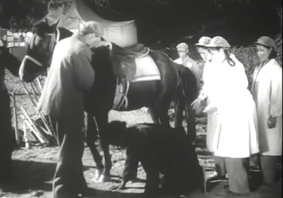 从不如牛马到翻身做主,*藏西**农奴是如何得到解放的?