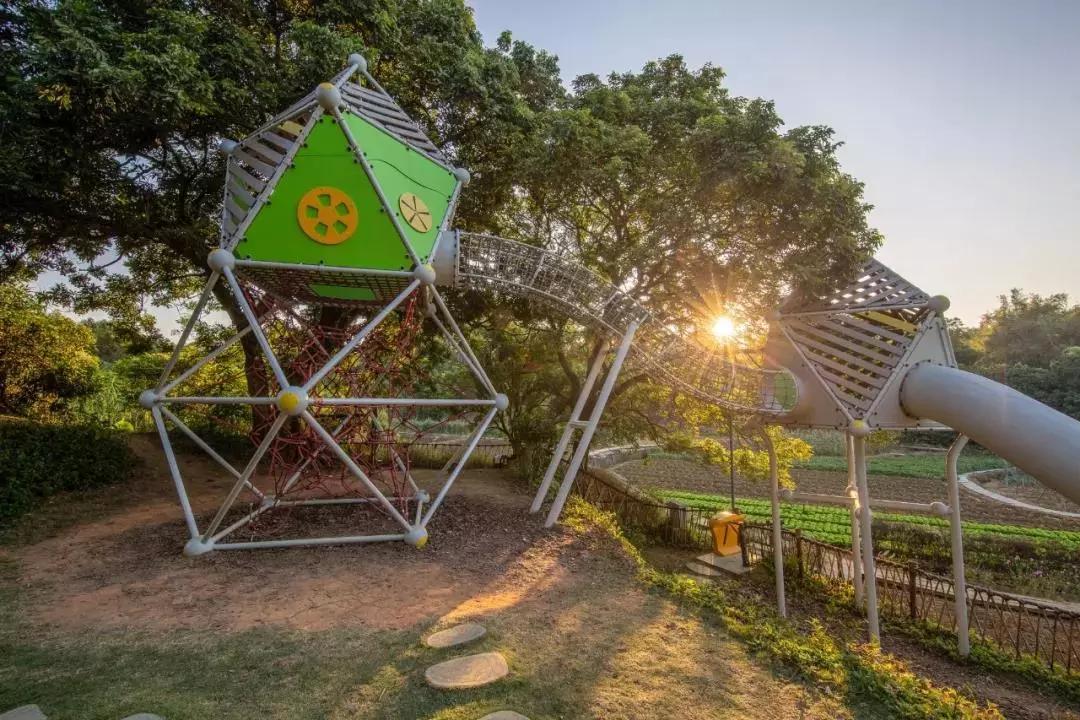 惠州秋长谷民宿推荐,惠州这家最有格调稻田民宿