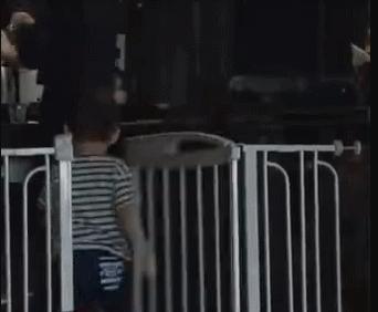 大学里一直在单身的人是什么心态,大学单身男性是什么样的