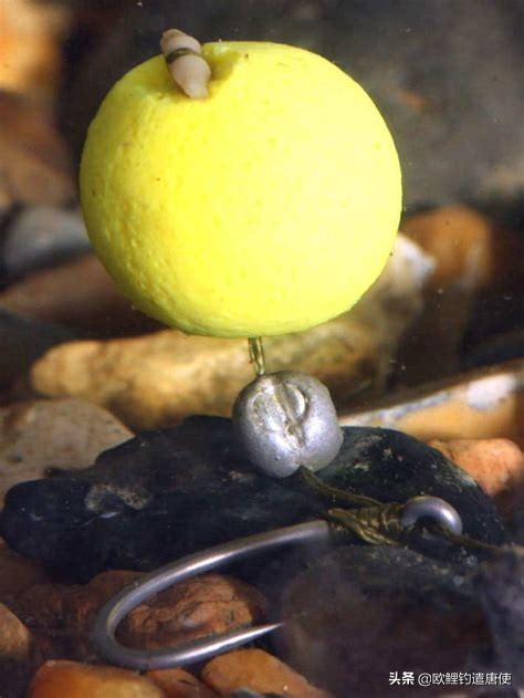 话说欧鲤钓诱饵篇,枯叶钓组和线辫钓组区别