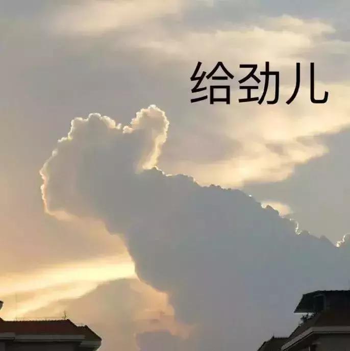 肚子上开一小口，帮您家添一人口！浅谈腹腔镜手术下卵巢功能保护