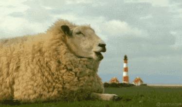 不会花很多钱，但真的都很会花！羊毛*党**到了最嗨时刻