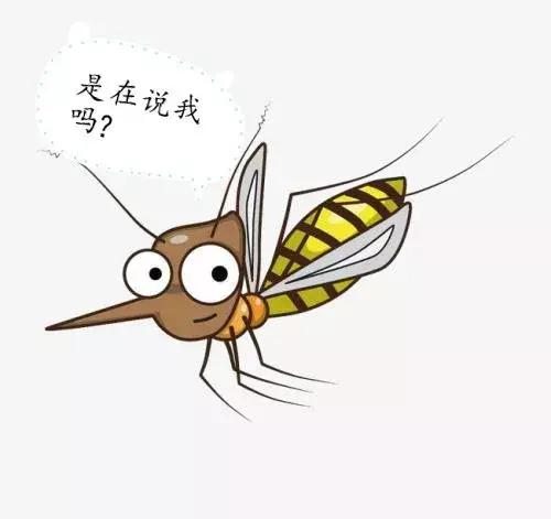 有啥防蚊单品推荐,夏季防蚊最新款