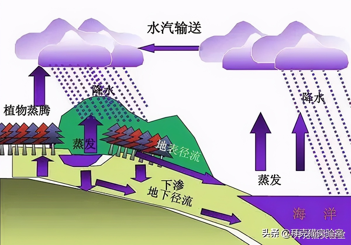 自制浇花神器自动浇水,制作浇花器一年都不用浇水