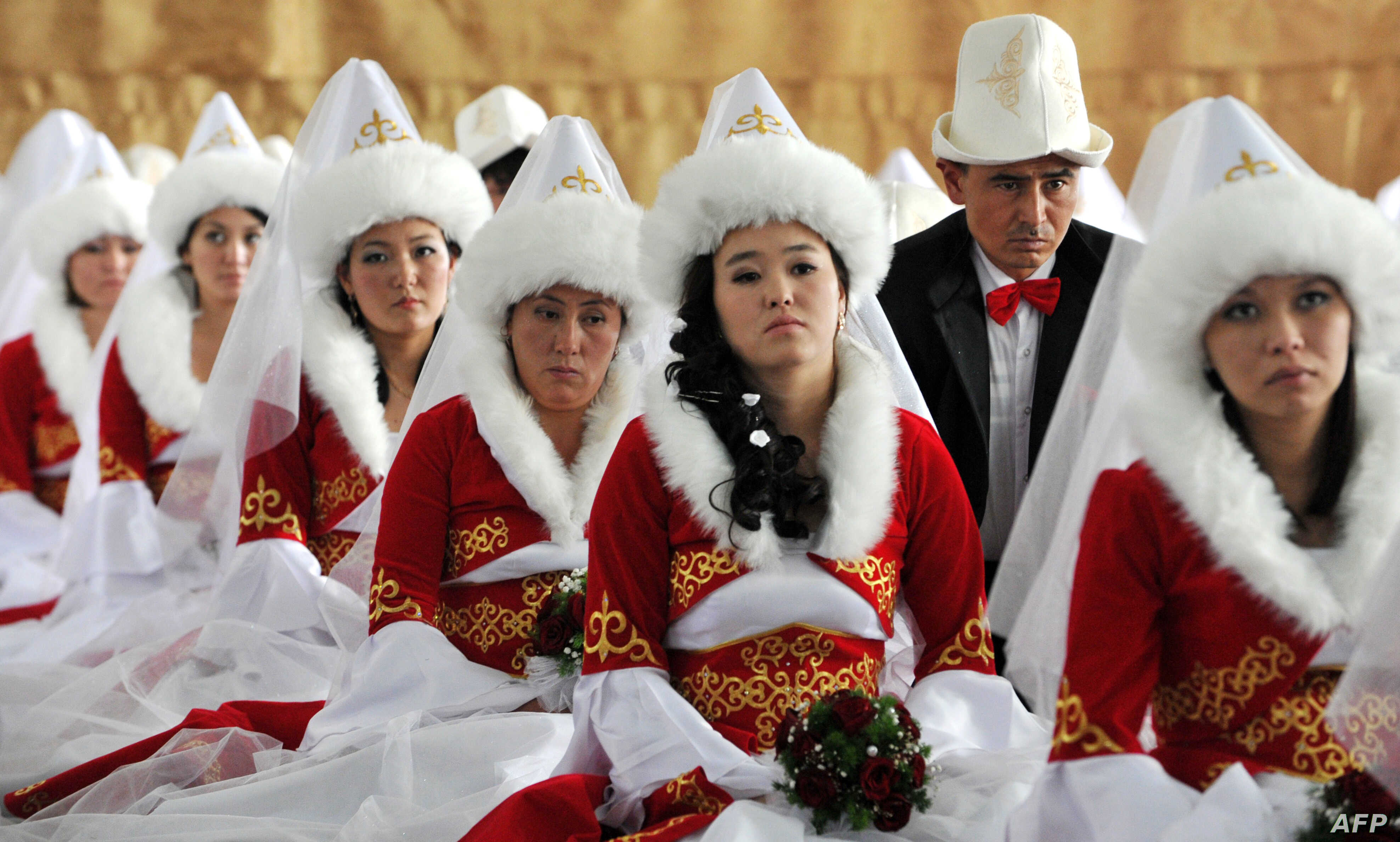 投资3000元养殖蟋蟀利润,投资5000元养殖蟋蟀利润