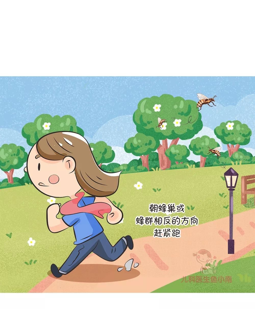 被蜂蜇伤的处理方法是什么,被蜂蛰伤后应该如何处理