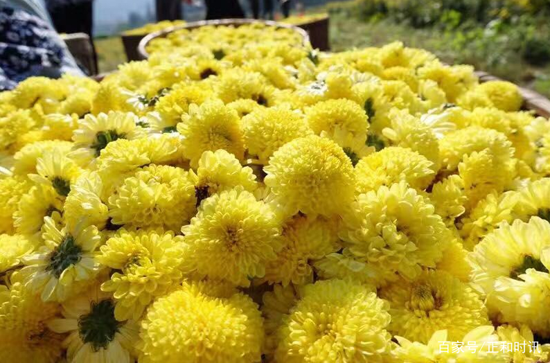 鎵嬪伐閲戜笣鐨囪強鍒朵綔,鑿婅姳鎵嬪伐閲戜笣鐨囪強