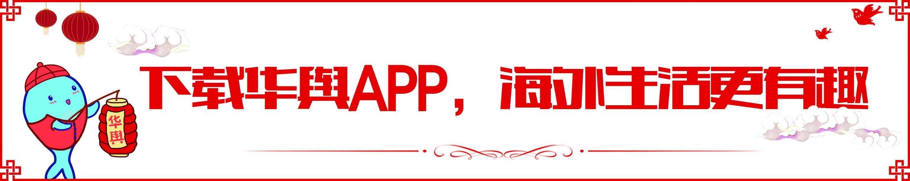 中国年改称“农历年”，悉尼庆典今年更包容
