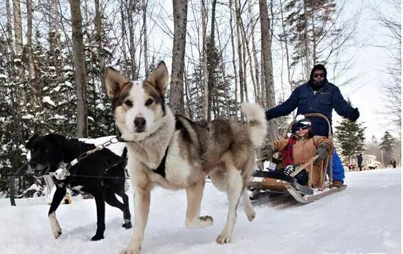 古人冬天玩耍,古人是如何玩转冰雪的