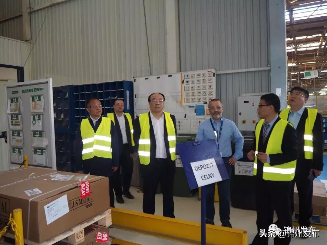 王德佳率团赴日本、波兰、匈牙利开展经贸洽谈活动~成果丰硕