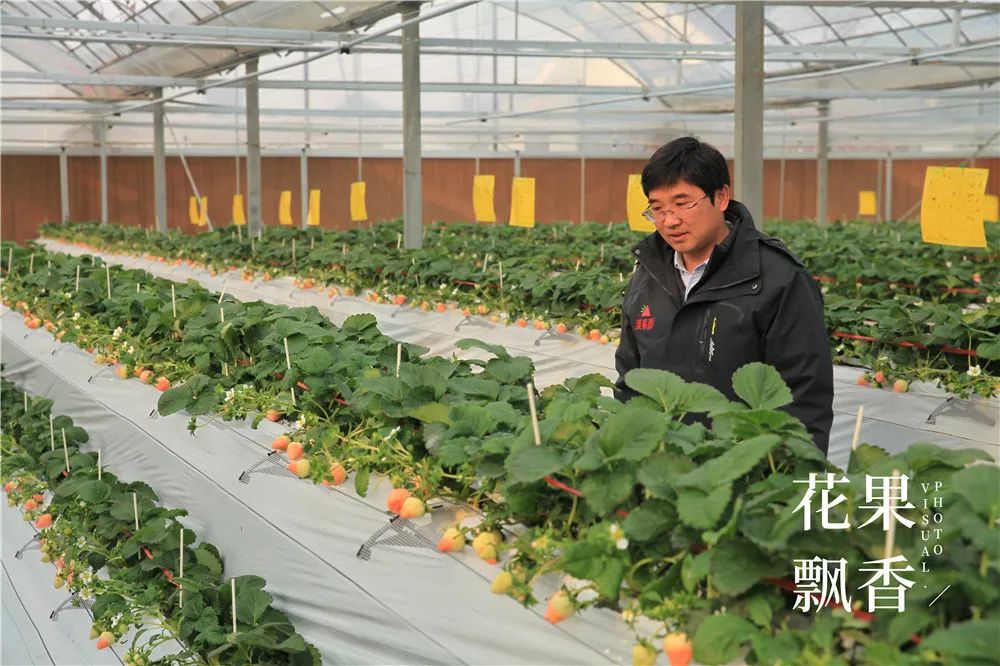 刘博士教种地,刘博士生涯规划