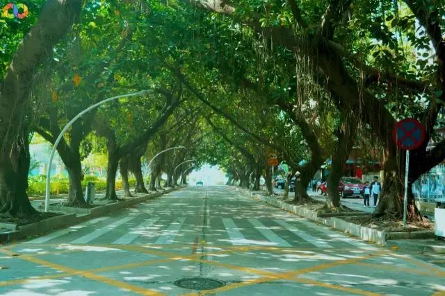 从平安路到桃园路的旧街，独属于老香洲的记忆