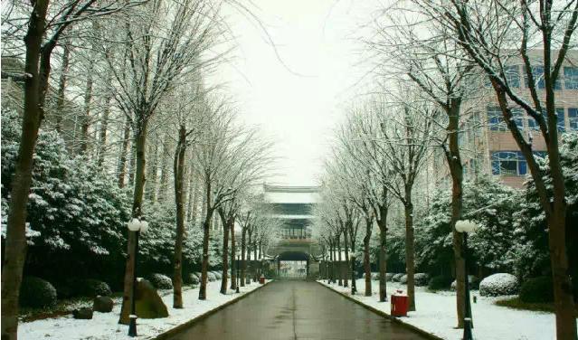 上海松江二中特色,上海市松江二中校园风光