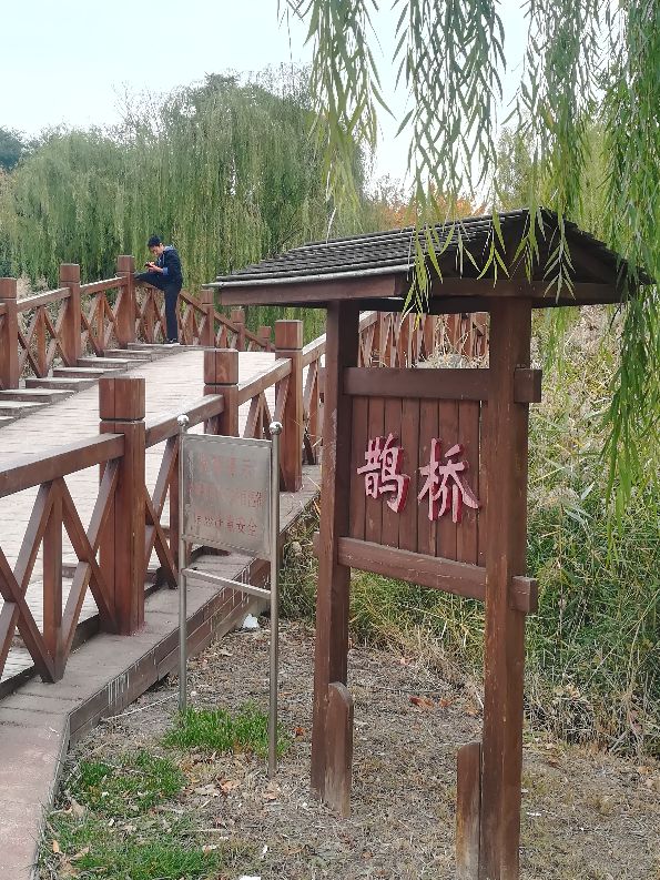 天津遛娃好去处,天津近郊一日游好去处