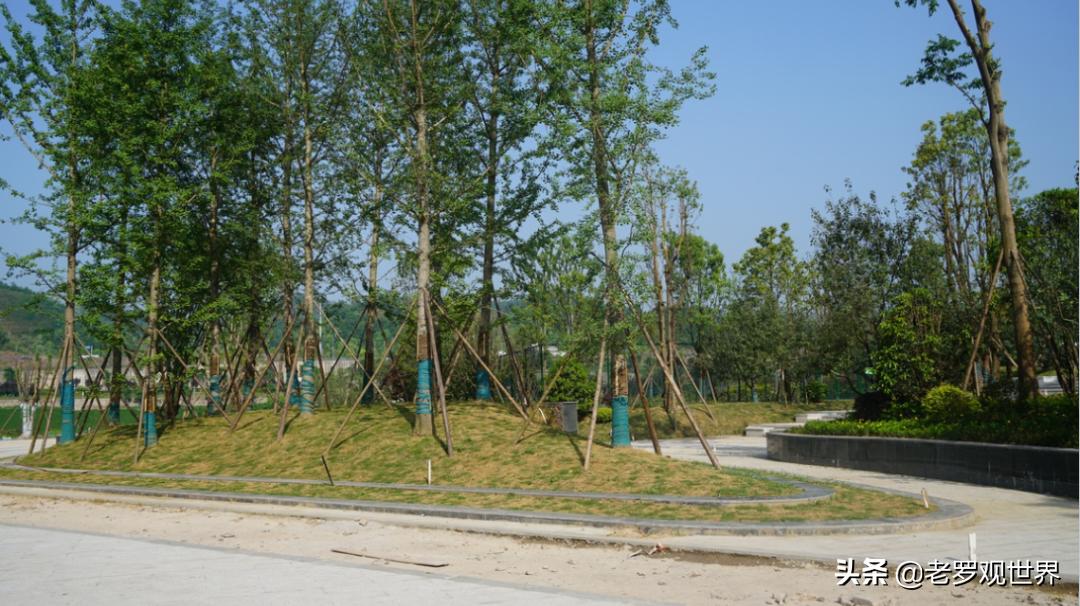 达州高家坝足球公园直播,高家坝足球公园最新消息