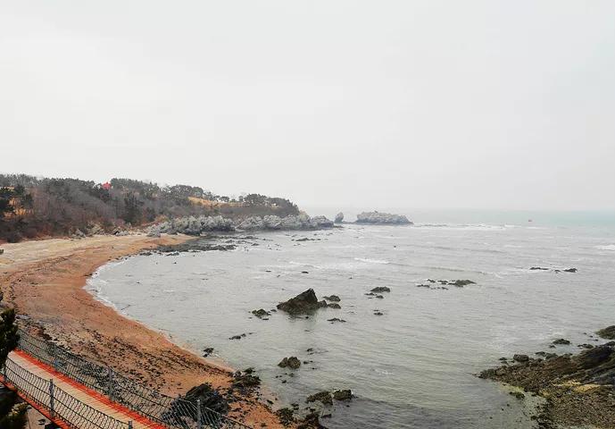 大连旅游攻略精致景点推荐,大连必去的打卡景点