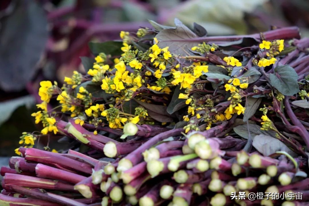 便宜到你怀疑人生的零食店,贵得能让你怀疑人生的菜
