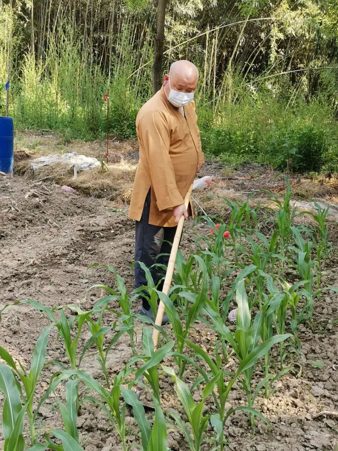 抢抓农时开展农业生产,农民纷纷抢抓春耕生产有利时机