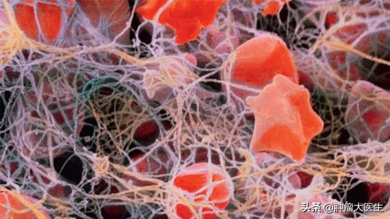 不查不知道一查吓一跳素材,不查不知道一查吓一跳一身病