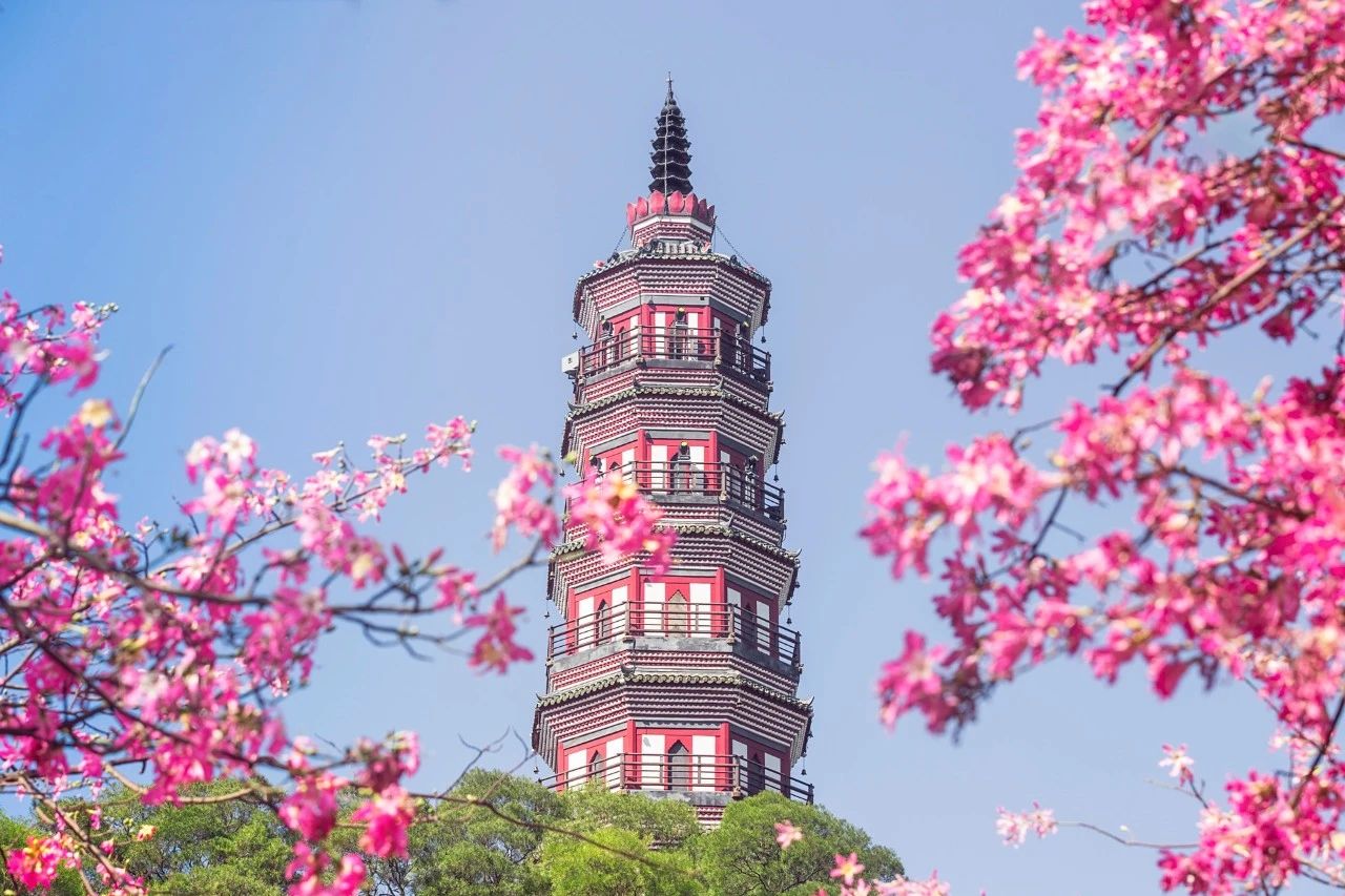 暮春来,暮春初夏的唯美诗词