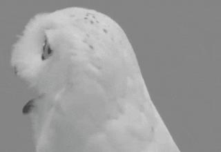 精液过敏、水过敏、wifi过敏、运动过敏……奇葩过敏，你听过几个