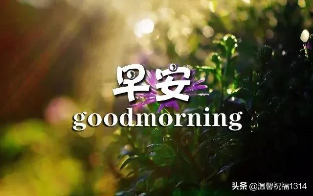 周一最新最接地气的早晨祝福语,周一清晨问候祝福语大全