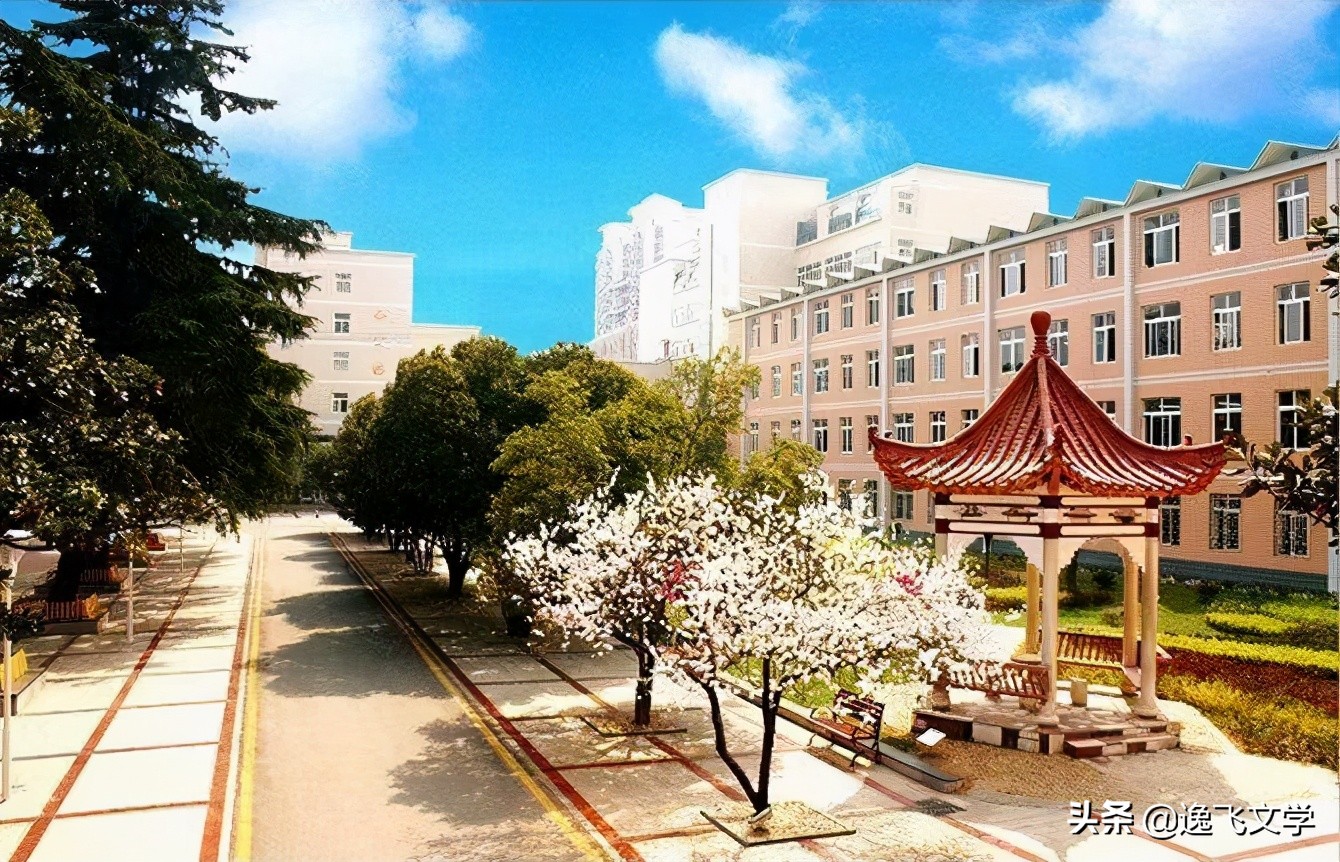 人生意境感悟,人生意境和感悟