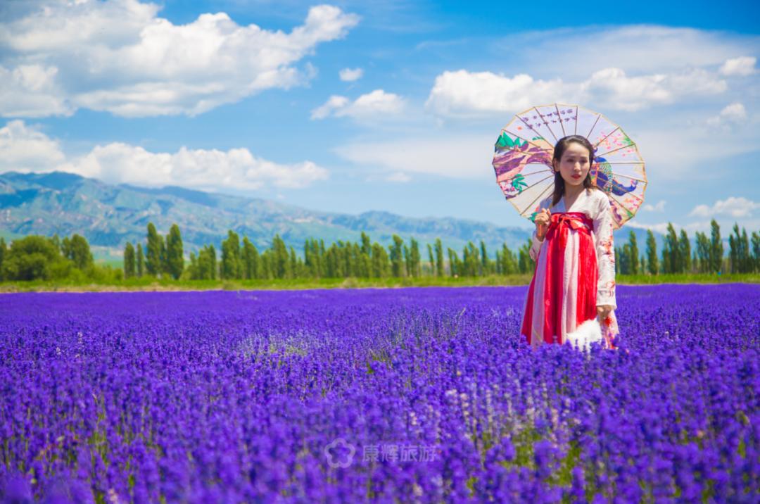 旅行中的故事讲述,旅行过程中的故事