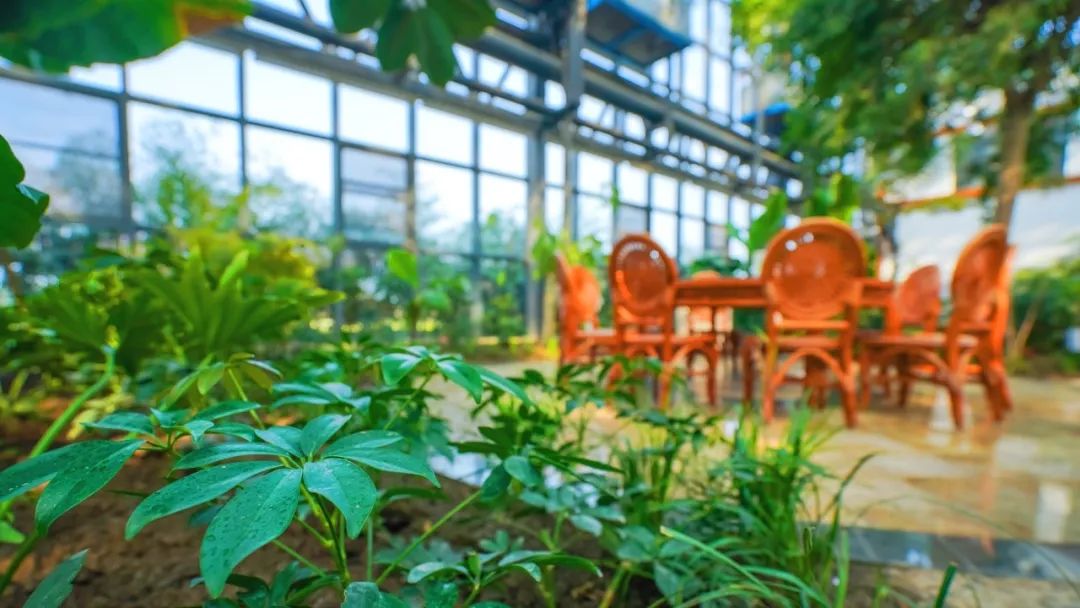 祥和庄园一日游,享受美食和田园风光的完美之旅