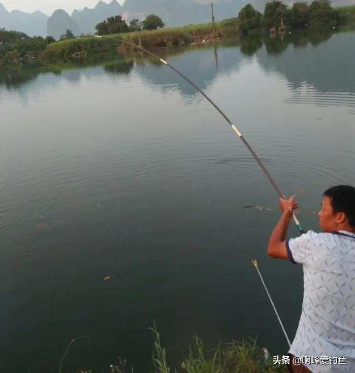 鲢鳙到底怎么钓才能钓得多,鲢鳙怎么才好钓