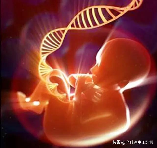 nt值高唐筛是做无创还是羊穿,孕期检查唐筛和无创dna到底选哪个